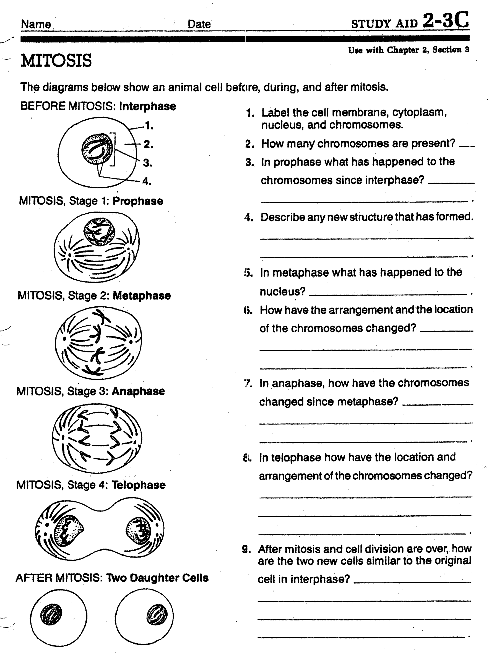31 Mitosis Meiosis Ideas Mitosis Meiosis Biology Lessons 31 Mitosis Meiosis Ideas Mitosis Meiosis Biology Lessons