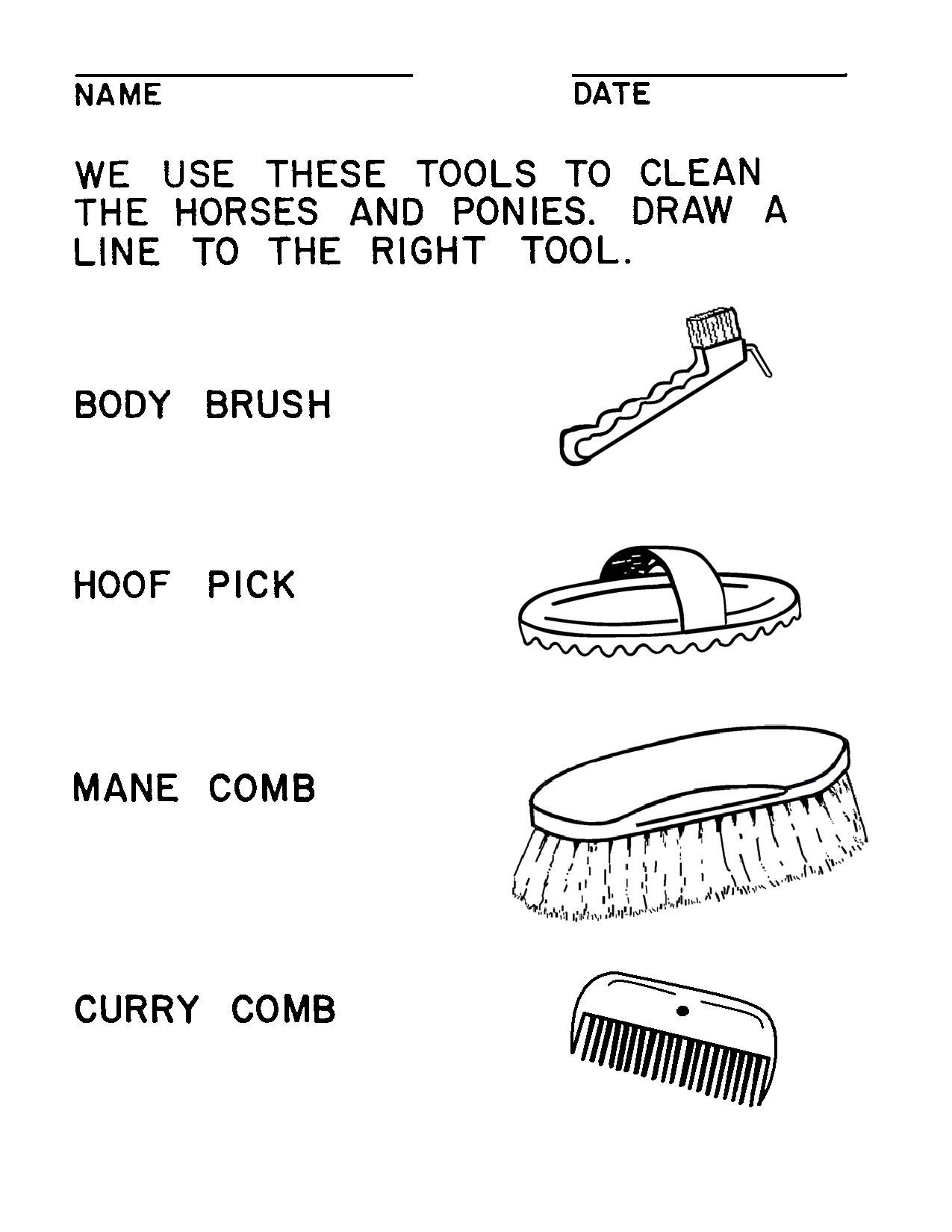 Horse Grooming Tools Activity PDF Download Etsy