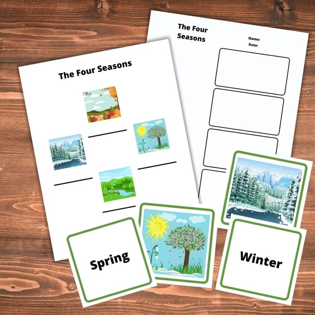 Free Printable Weather And Seasons Worksheet