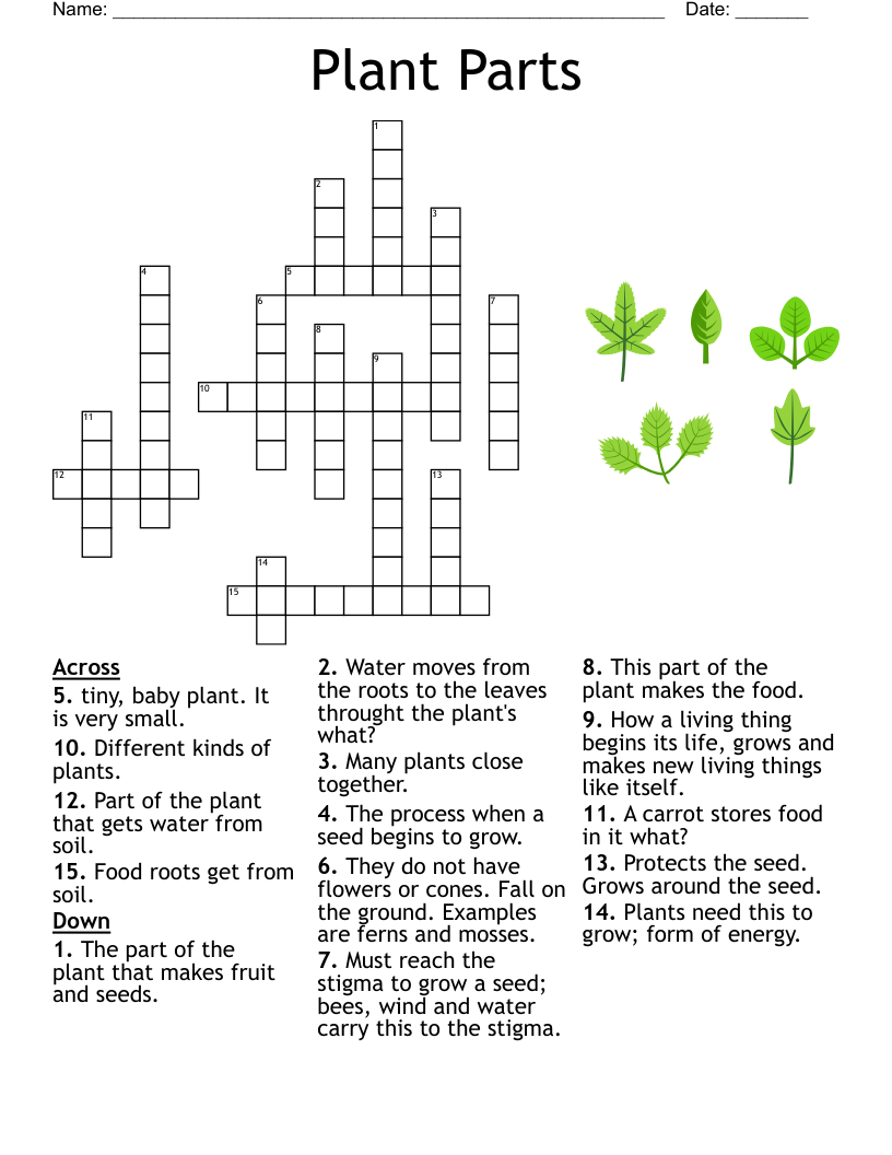 Printable 4th Grade Science Crossword Worksheets