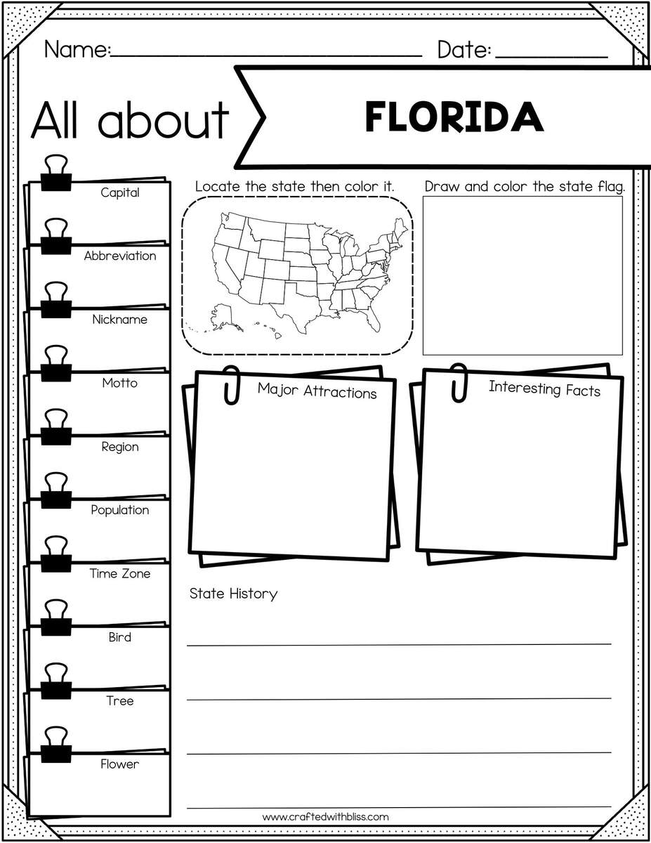 50 States Research Project Homeschool US States Geography Etsy
