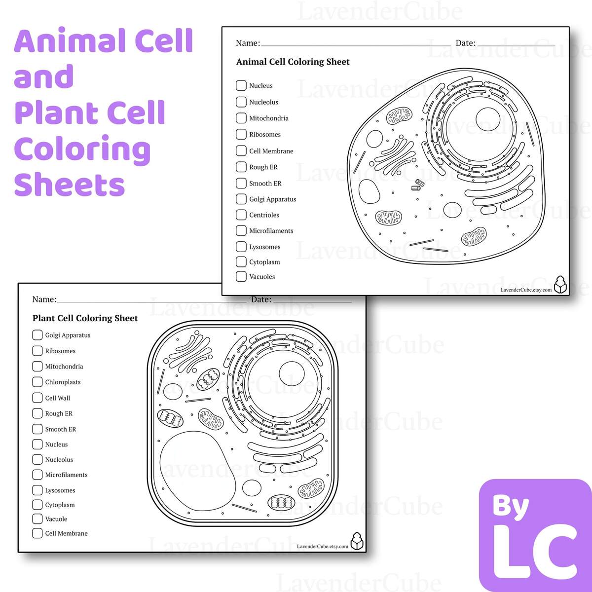 Animal And Plant Cell Coloring Worksheets Digital Download 300 DPI Png Etsy Israel Plant Cell Coloring Page Easy Drawing Guides