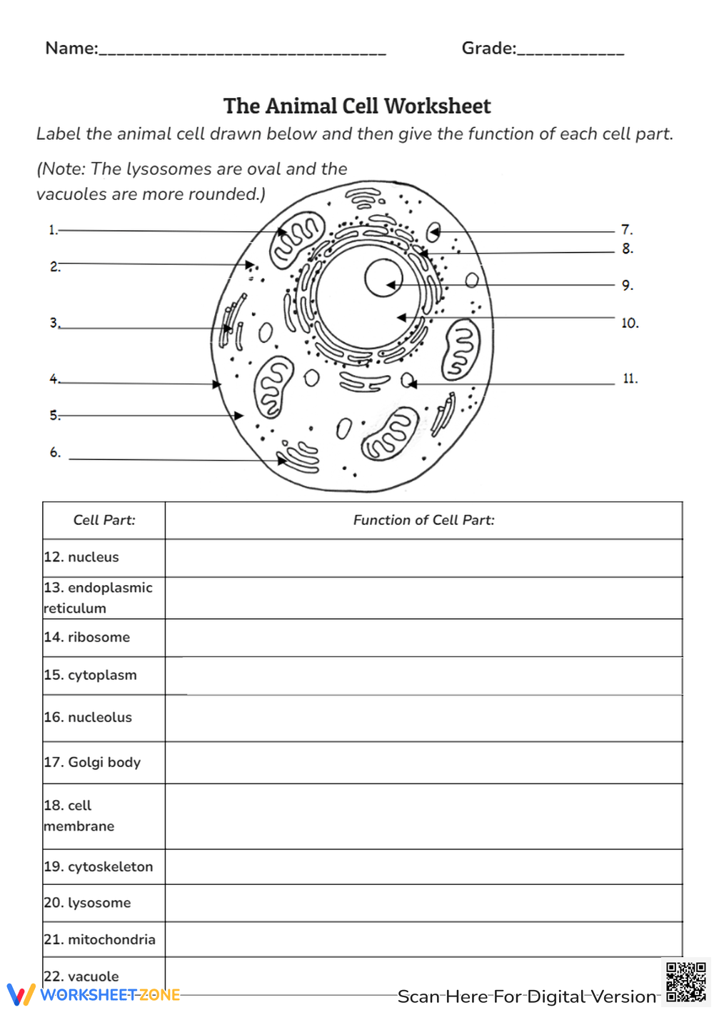 Animal Cell Worksheets Printable Animal Cell Worksheets Printable