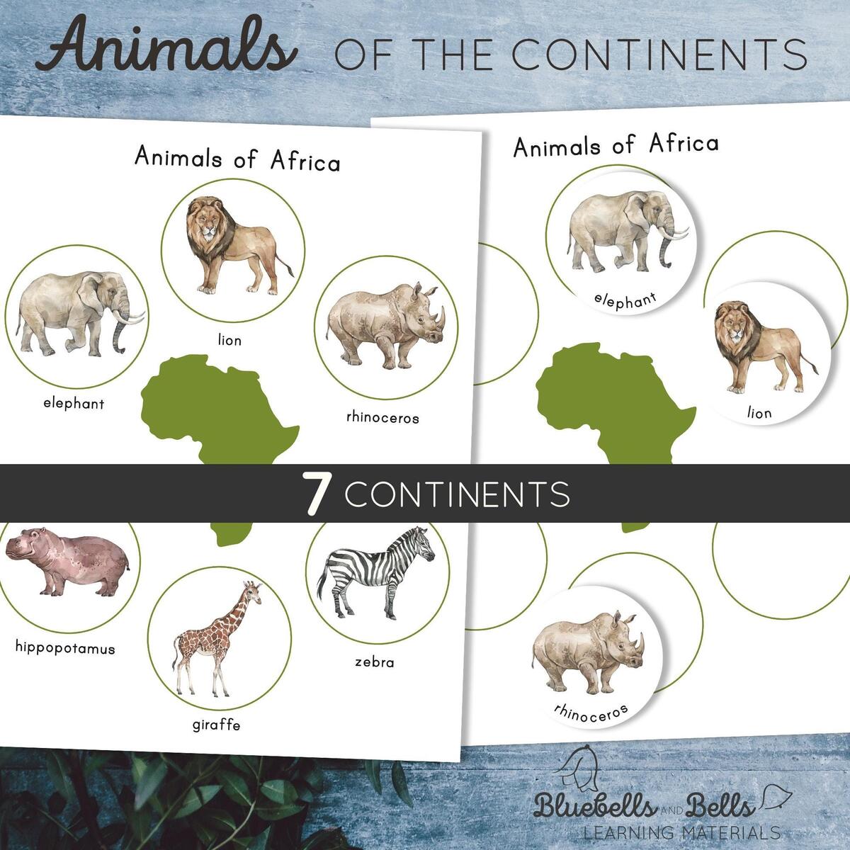 Animals Of The Continents Posters And Sorting Activity Montessori Printable Preschool And Kindergarten Geography Game Etsy Animals Of The Continents Posters And Sorting Activity Montessori Printable Preschool And Kindergarten Geography Game Etsy