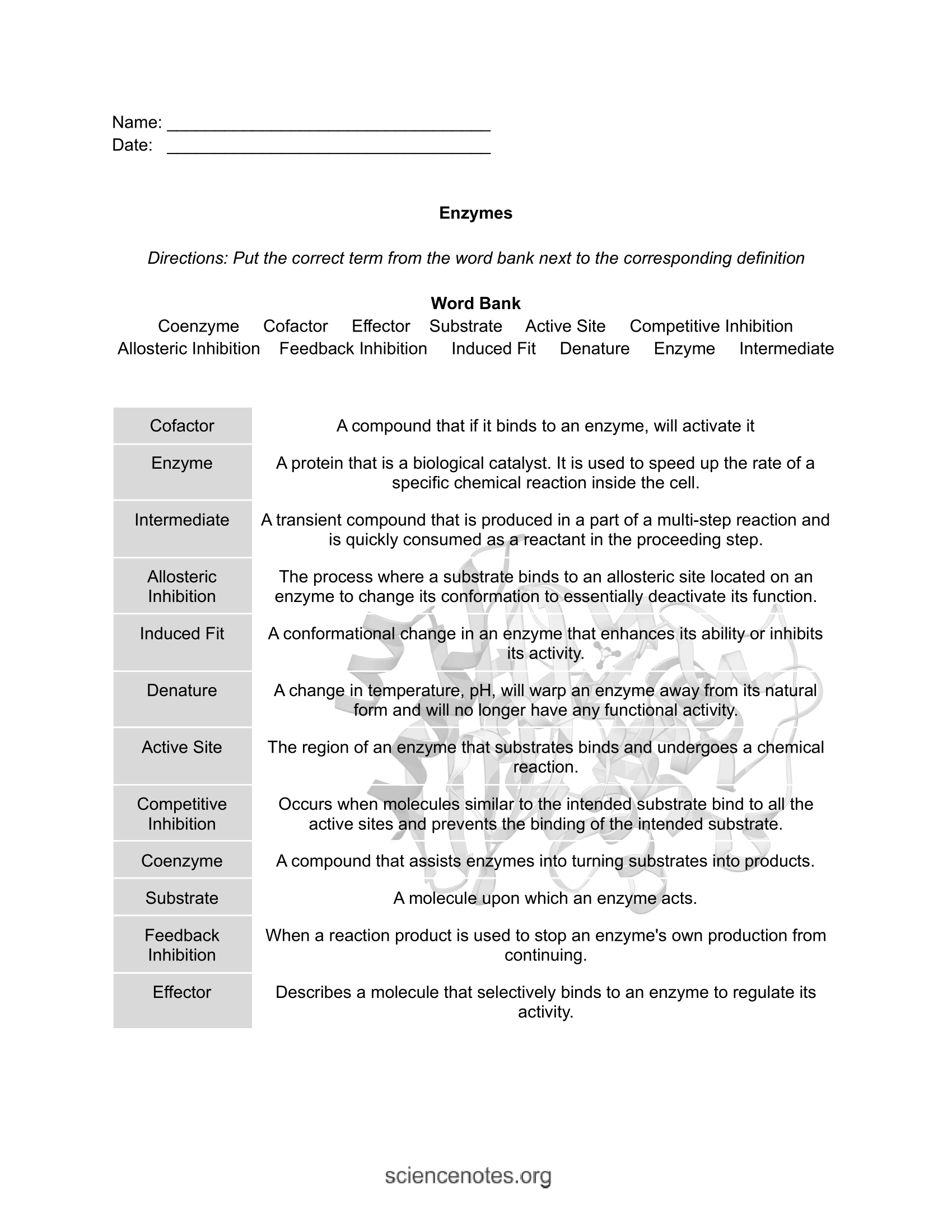 Biology Worksheets Notes And Quizzes PDF And PNG Biology Worksheets Notes And Quizzes PDF And PNG