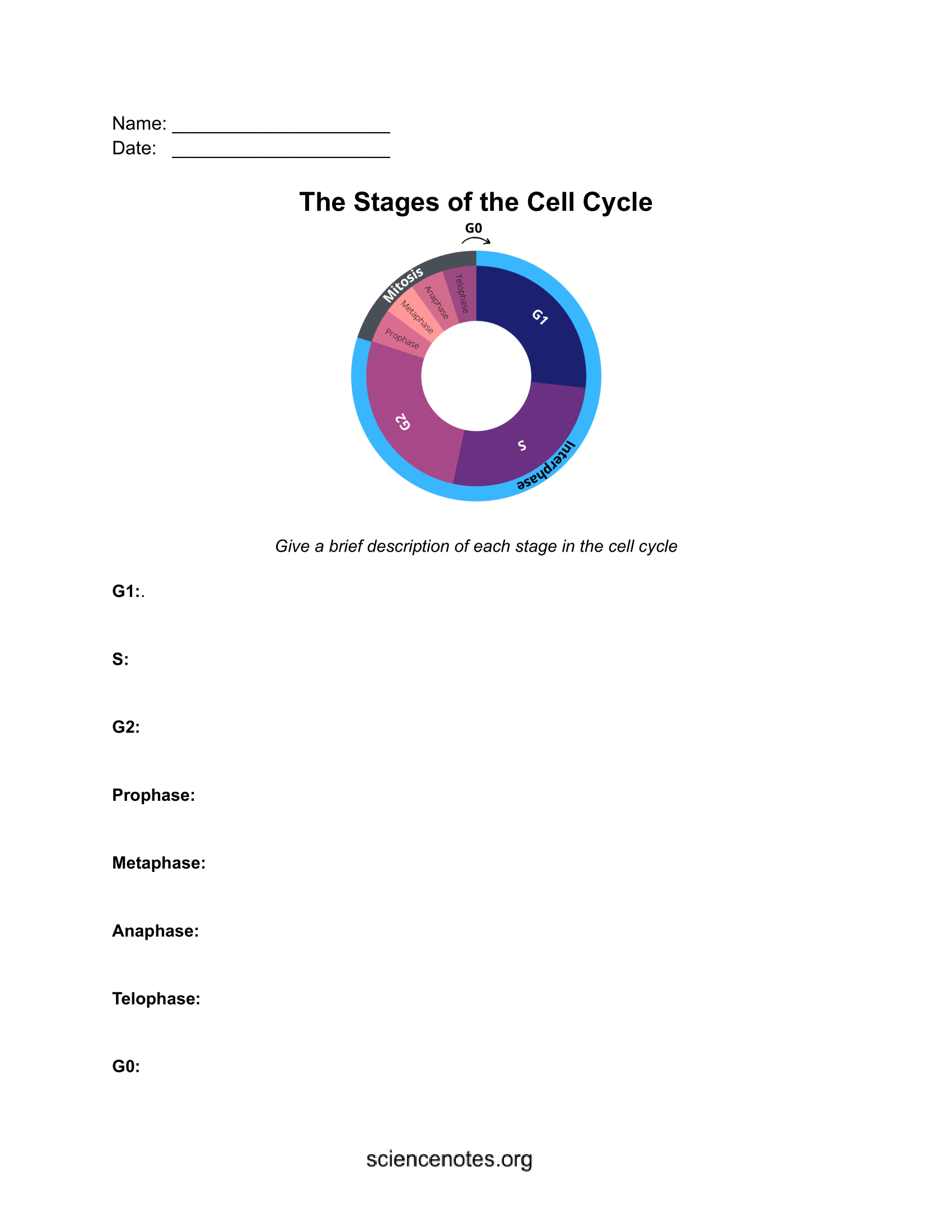 Biology Worksheets Notes And Quizzes PDF And PNG Biology Worksheets Notes And Quizzes PDF And PNG