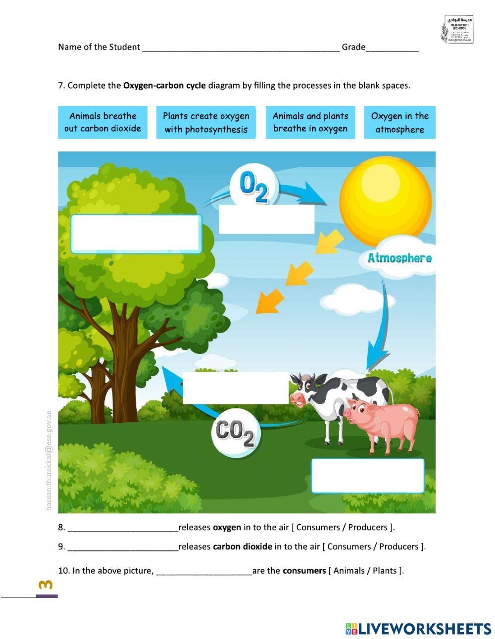 Carbon Oxygen Cycle Online Exercise For Worksheets Library Printable 8th Grade The Carbon Cycle Worksheets Download