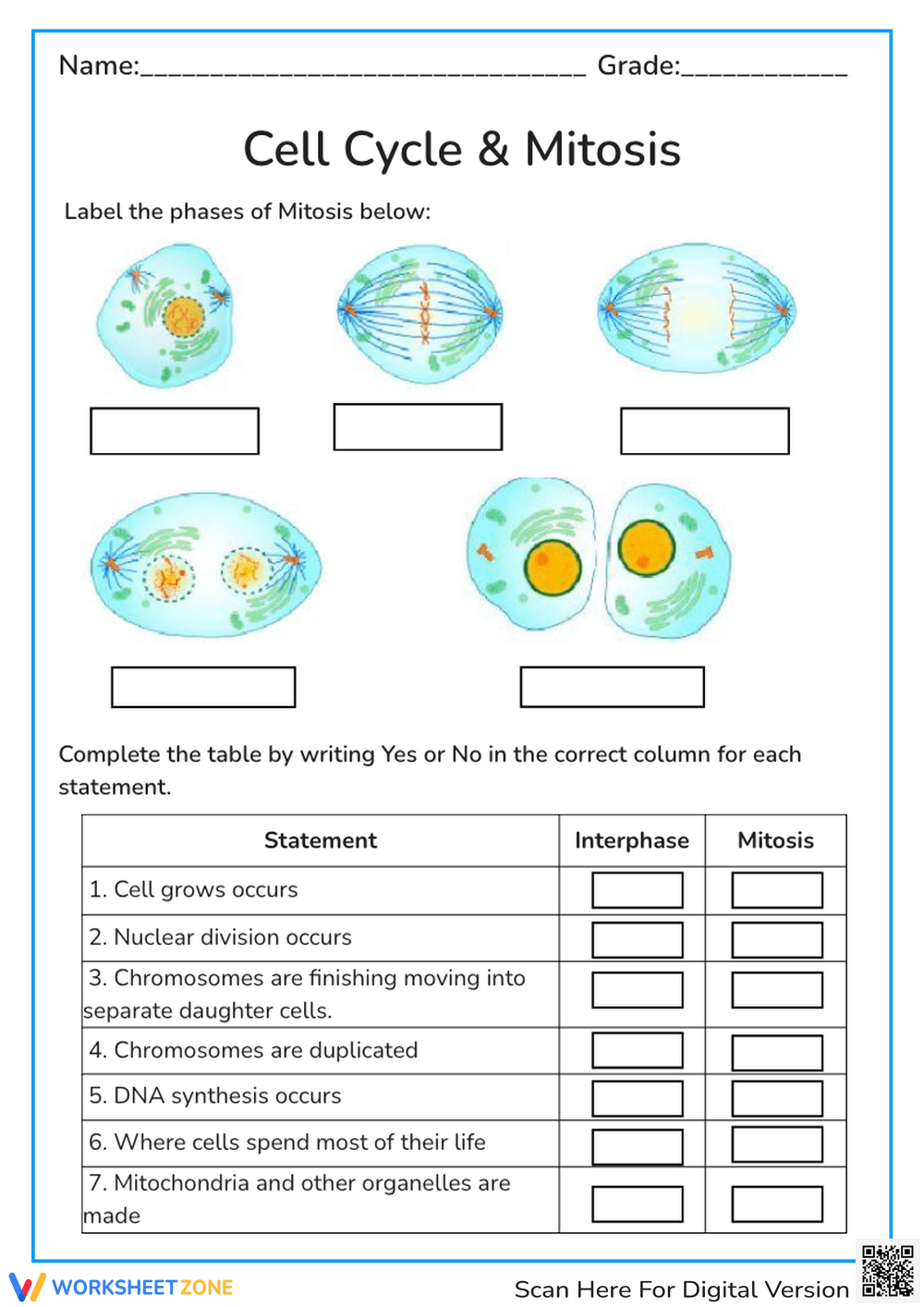 Cell Organelles Worksheets Printable Cell Organelles Worksheets Printable