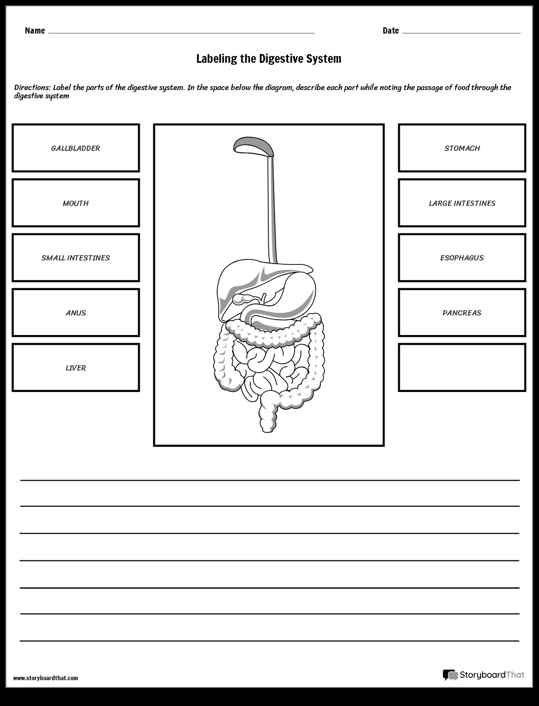 Digestive System Labeling Free Worksheet Storyboard That Digestive System Labeling Free Worksheet Storyboard That