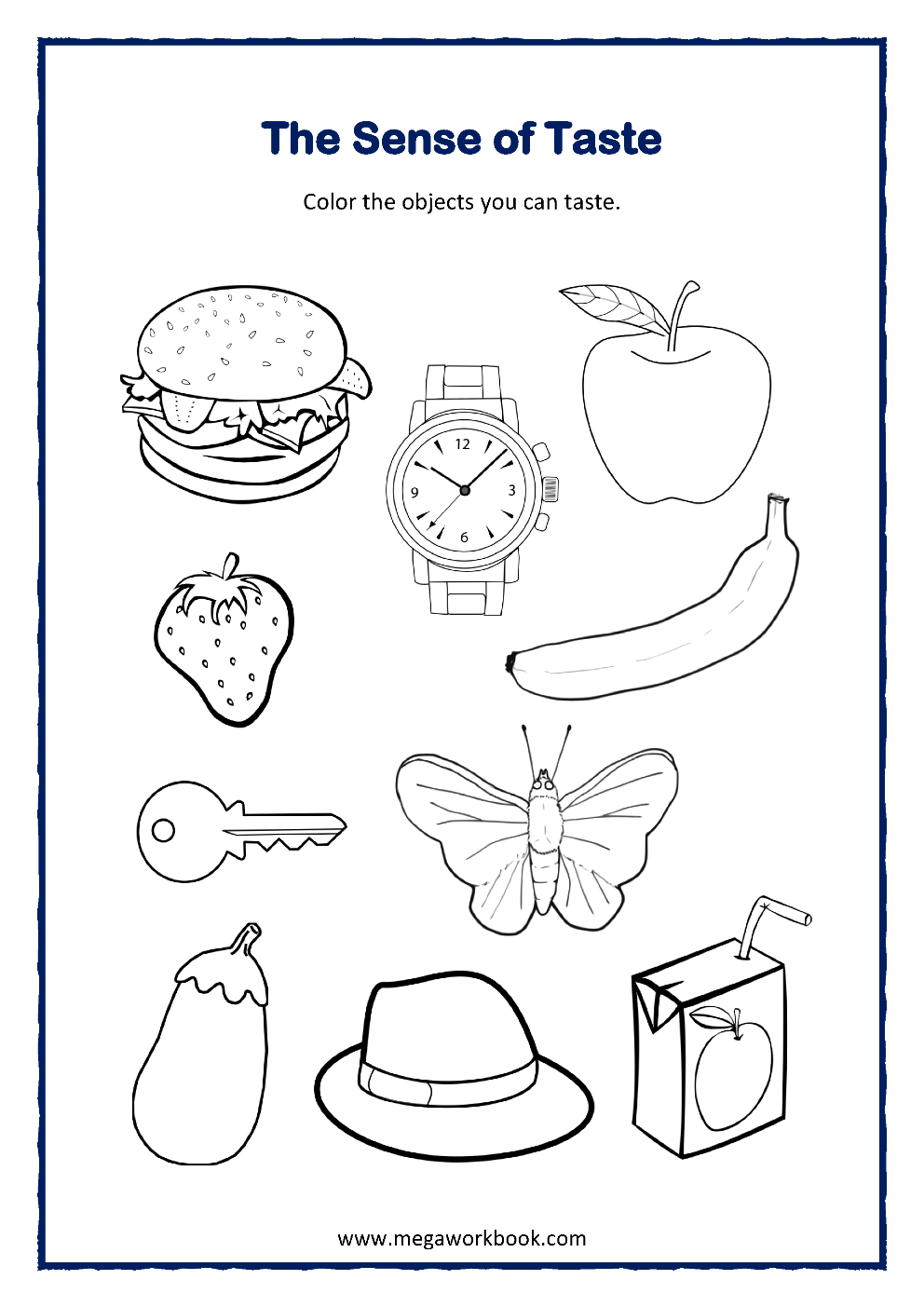 Discover 20 Science Worksheets And Activities For Kids And Five Senses Worksheet Ideas Science Worksheets Worksheets 5 Senses Worksheet And More Discover 20 Science Worksheets And Activities For Kids And Five Senses Worksheet Ideas Science Worksheets Worksheets 5 Senses Worksheet And More