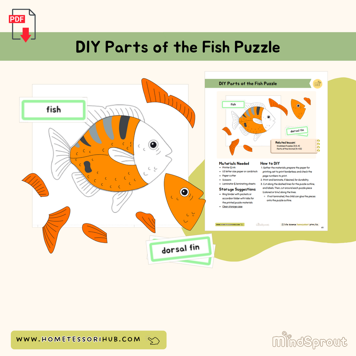 DIY Parts Of The Fish Booklets Zoology Montessori Printable Material Made By Teachers