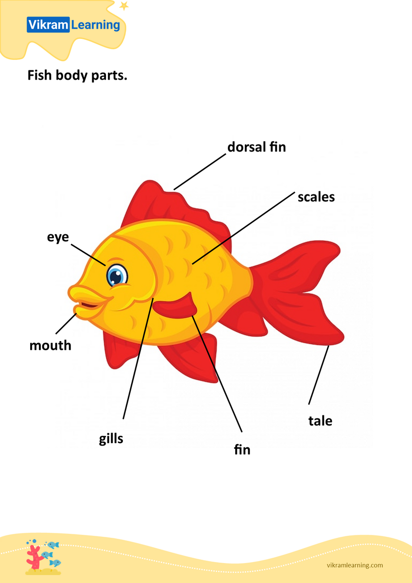 Download Fish Body Parts Worksheets Vikramlearning Worksheets Library