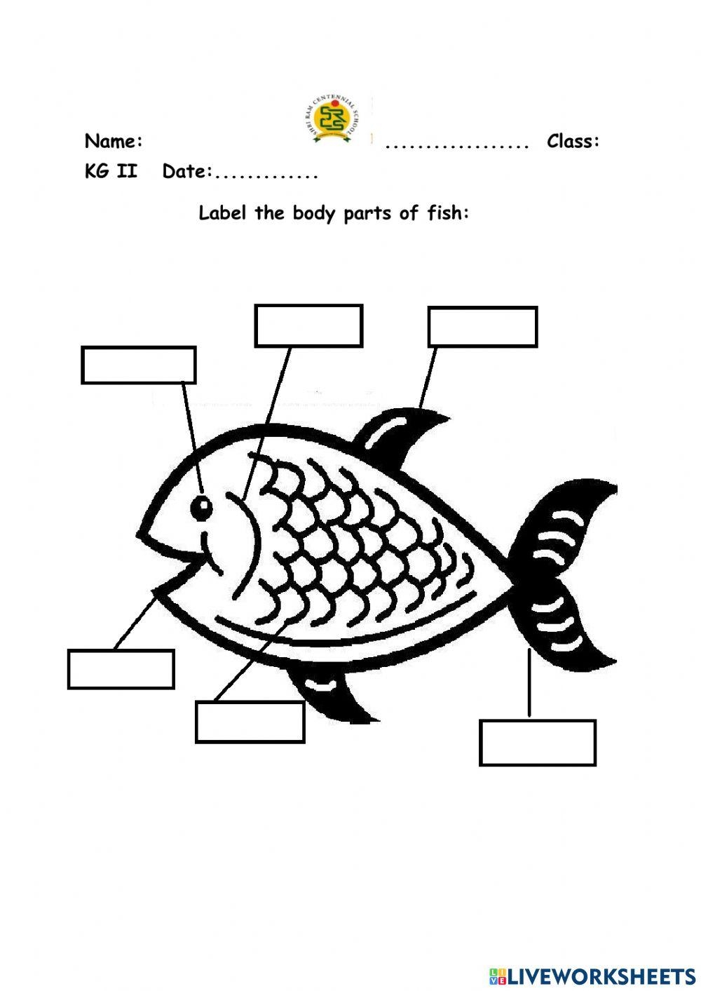 Label The Fish Worksheet Kidpid