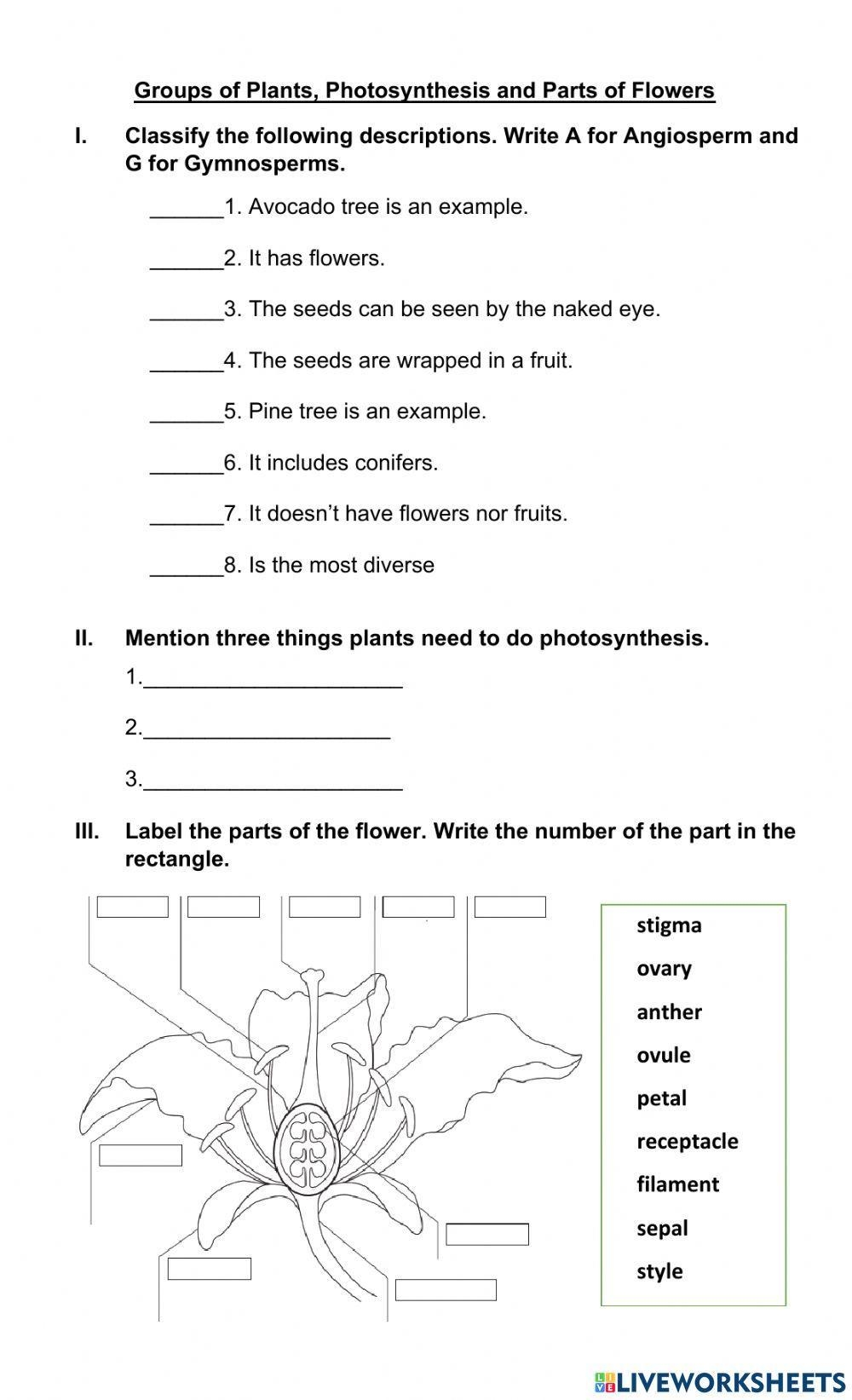 Free Angiosperms And Gymnosperms Worksheet Download Free Angiosperms And Gymnosperms Worksheet Png Images Free Worksheets On Clipart Library Seed Producing Plants Worksheet Worksheets Library