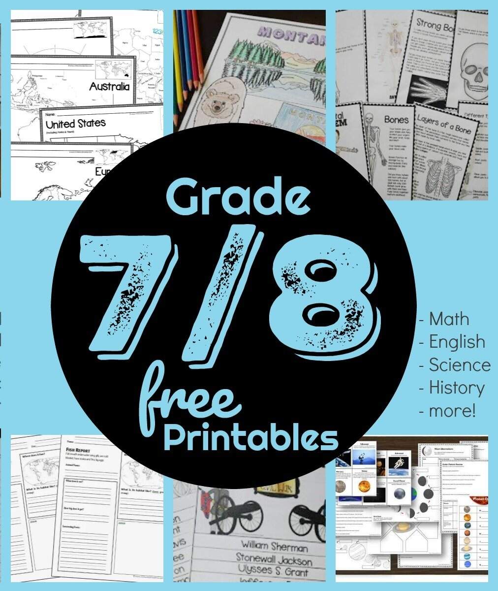 Seventh Grade Solving Equations Worksheet