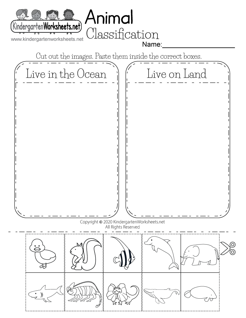 Noun Classification Worksheet Free Printable Do Play Learn