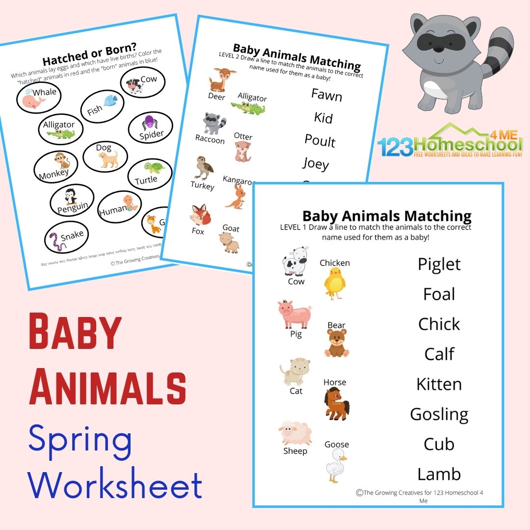 FREE Printable Baby Animals Worksheets Animals And Their Babies Worksheet Free Printable Digital PDF