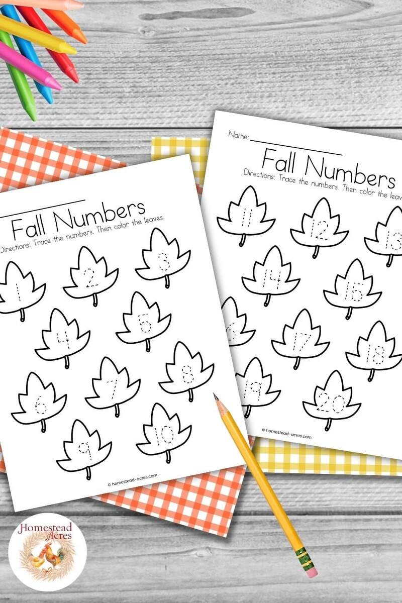 Free Printable Fall Leaves Tracing Numbers 1 To 20 Worksheets