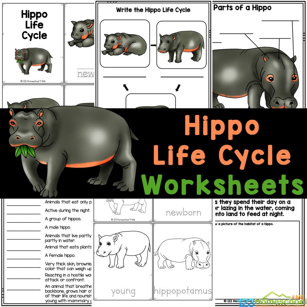 FREE Printable Hippo Life Cycle Worksheets For Kids Pygmy Hippo Fun Facts Handwriting Practice Printable Handwriting Practice Sheets Trace And Write Practice Handwriting Gift Etsy