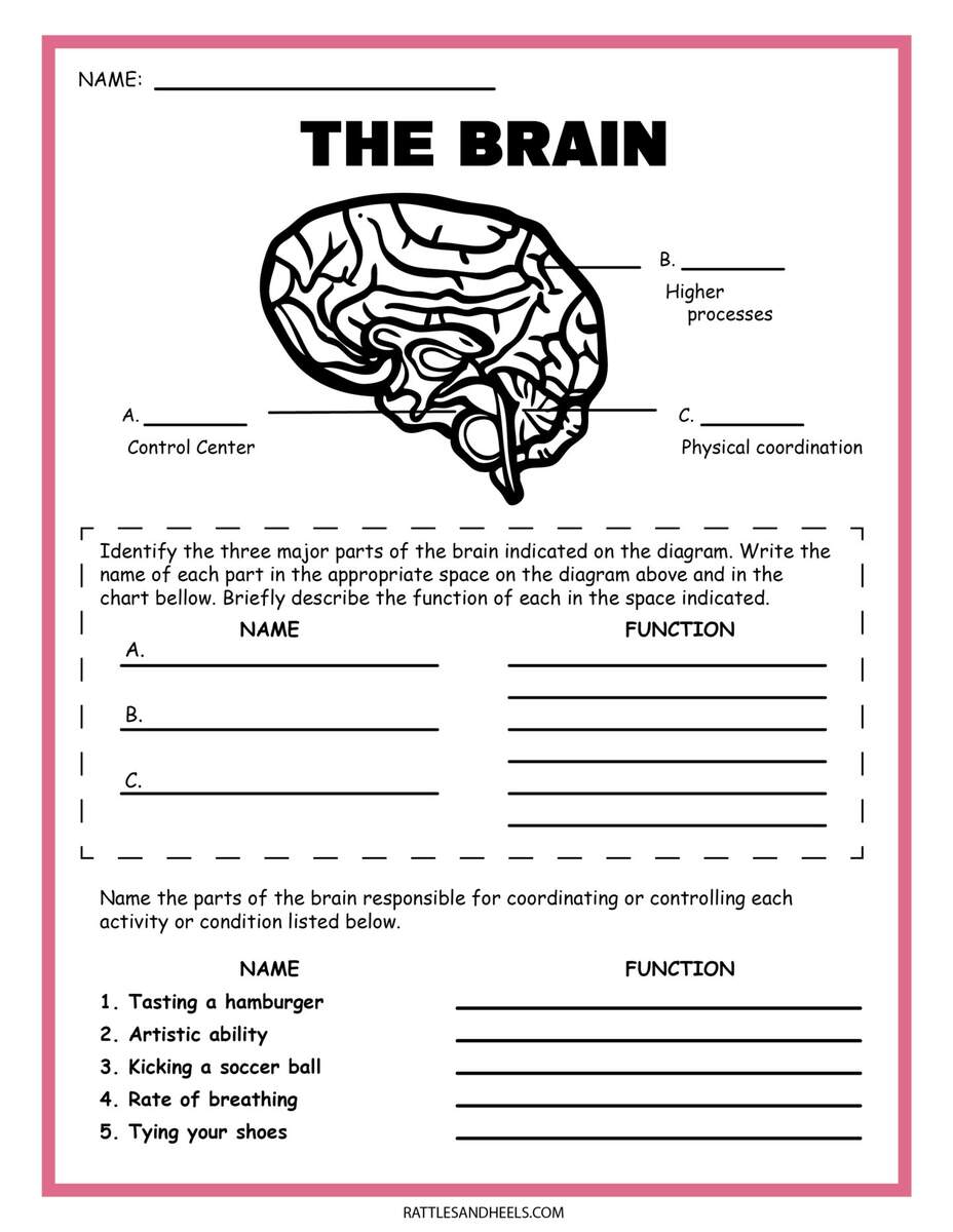 Printable 5th Grade Classification Of Matter Solid Liquid Gas Worksheets