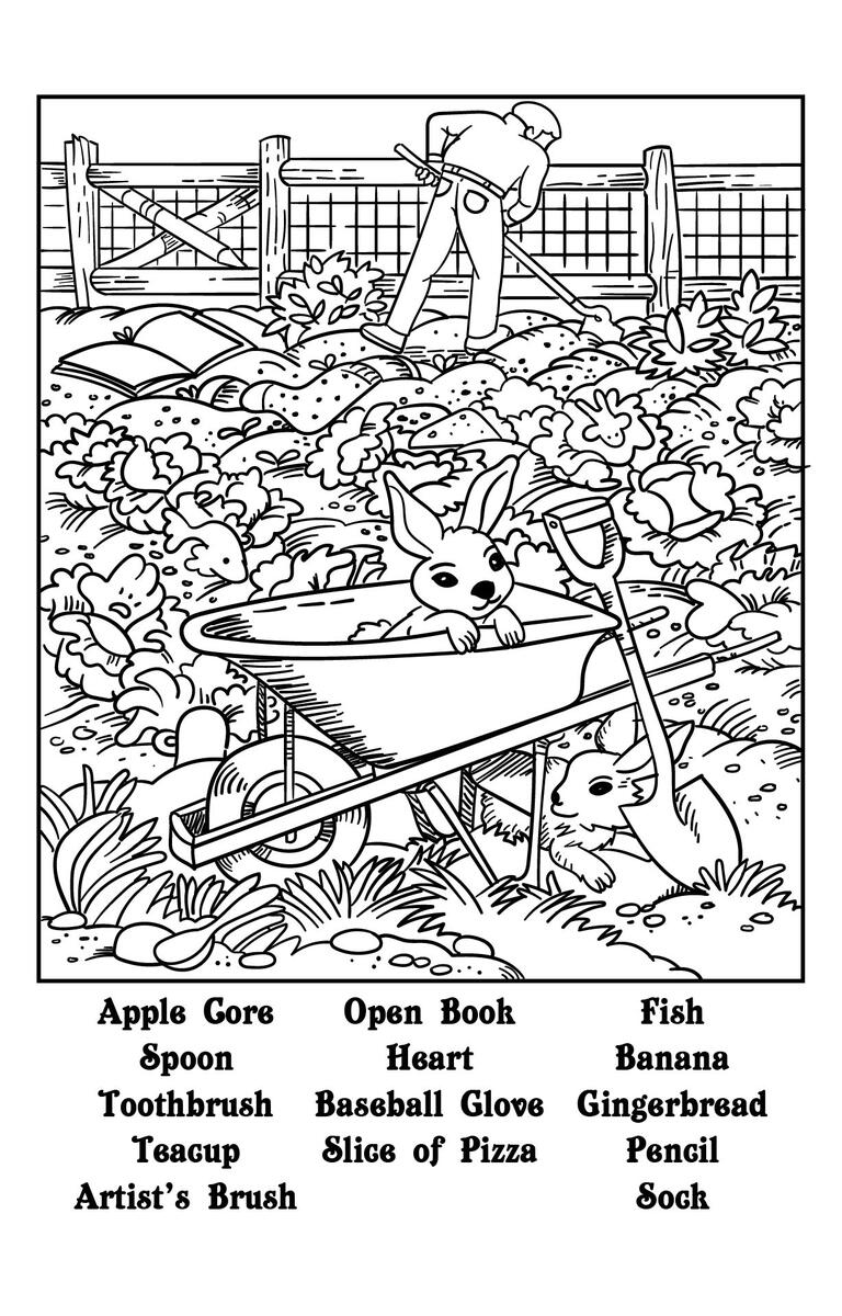 Hidden Pictures For Adults 10 Free PDF Printables Printablee Worksheets Library
