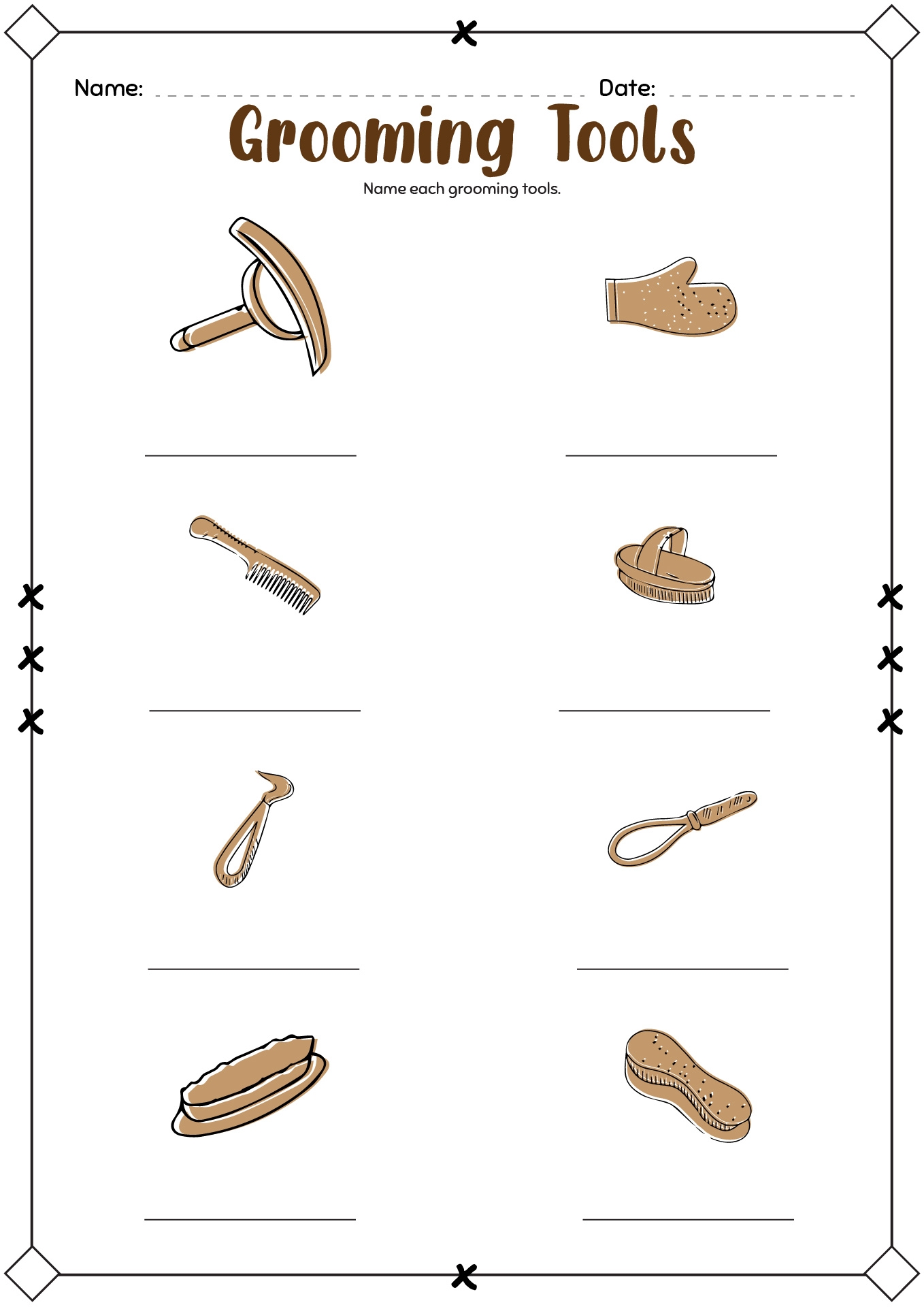 Horse Grooming Steps