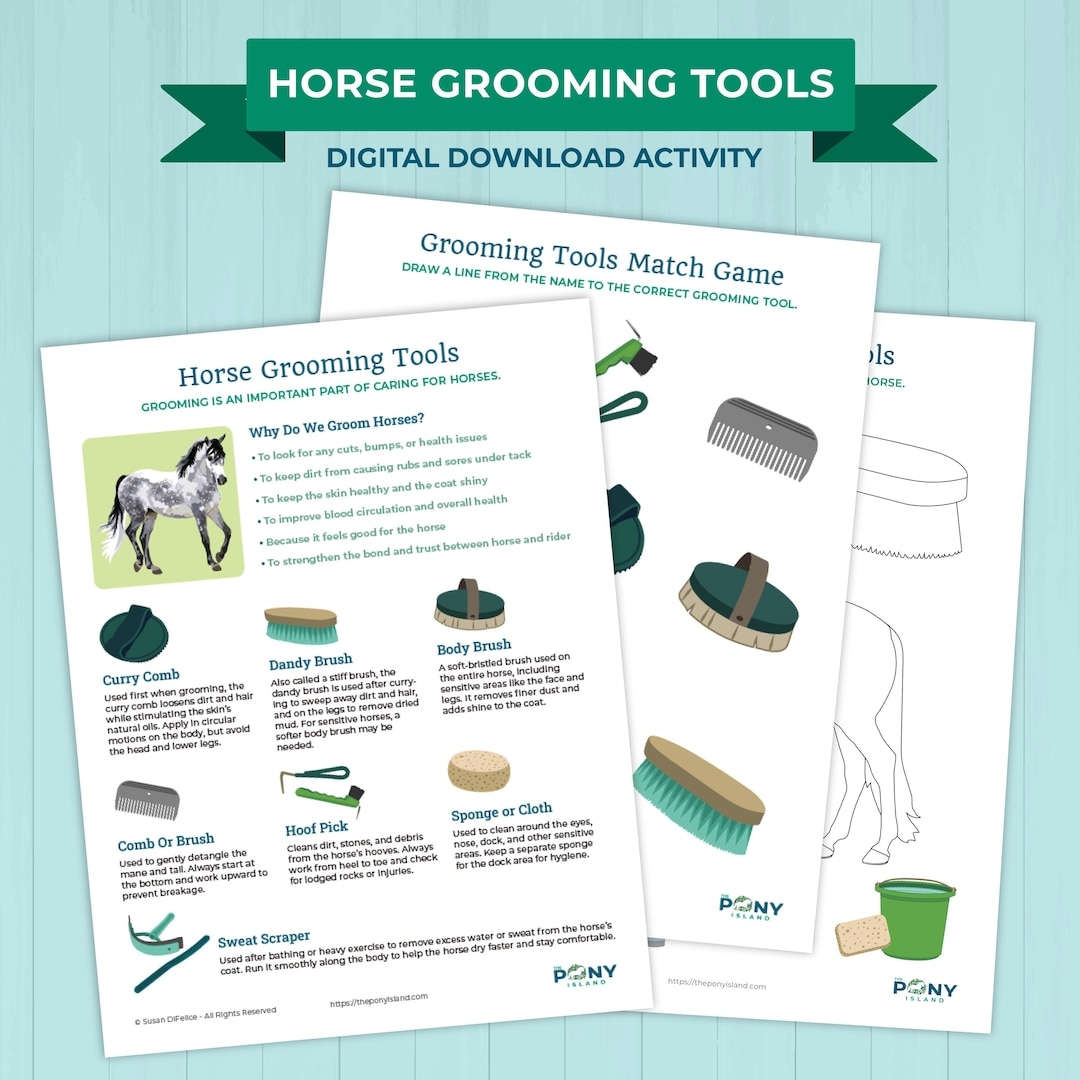 Horse Grooming Tools Activity PDF Download Etsy