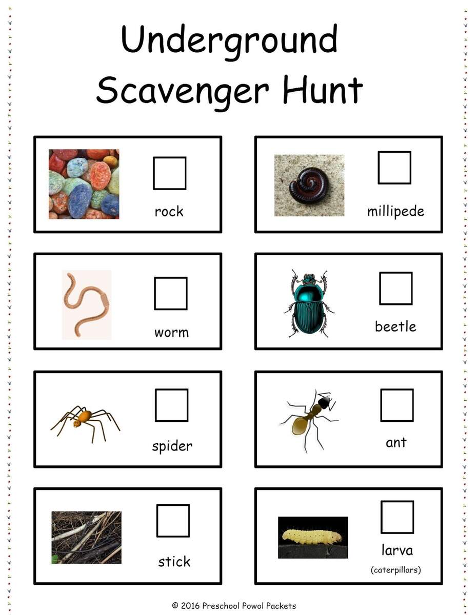 Insect Bug Spider Themed FREE Preschool Printables Insect Bug Spider Themed FREE Preschool Printables