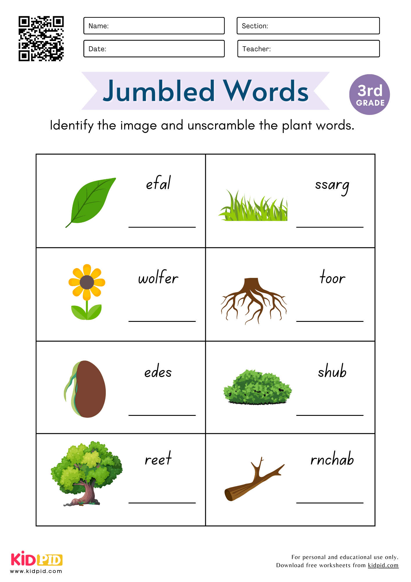 Jumbled Plant Words Worksheet For Grade 3 Kidpid Jumbled Plant Words Worksheet For Grade 3 Kidpid