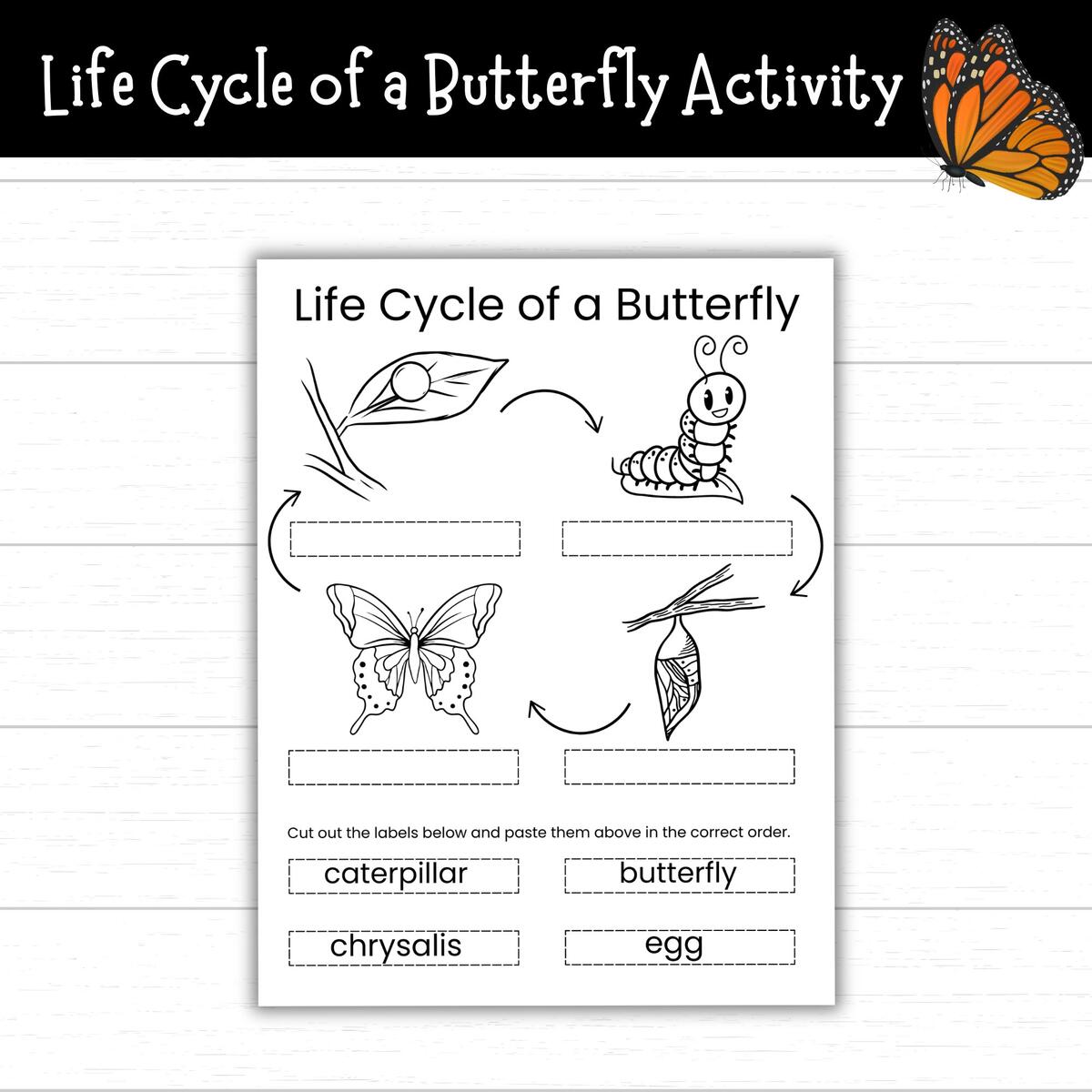 Life Cycle Of A Butterfly Cut And Paste Activity Printable Butterfly Life Cycle Coloring Page Life Cycle Of A Butterfly Coloring Pages Etsy