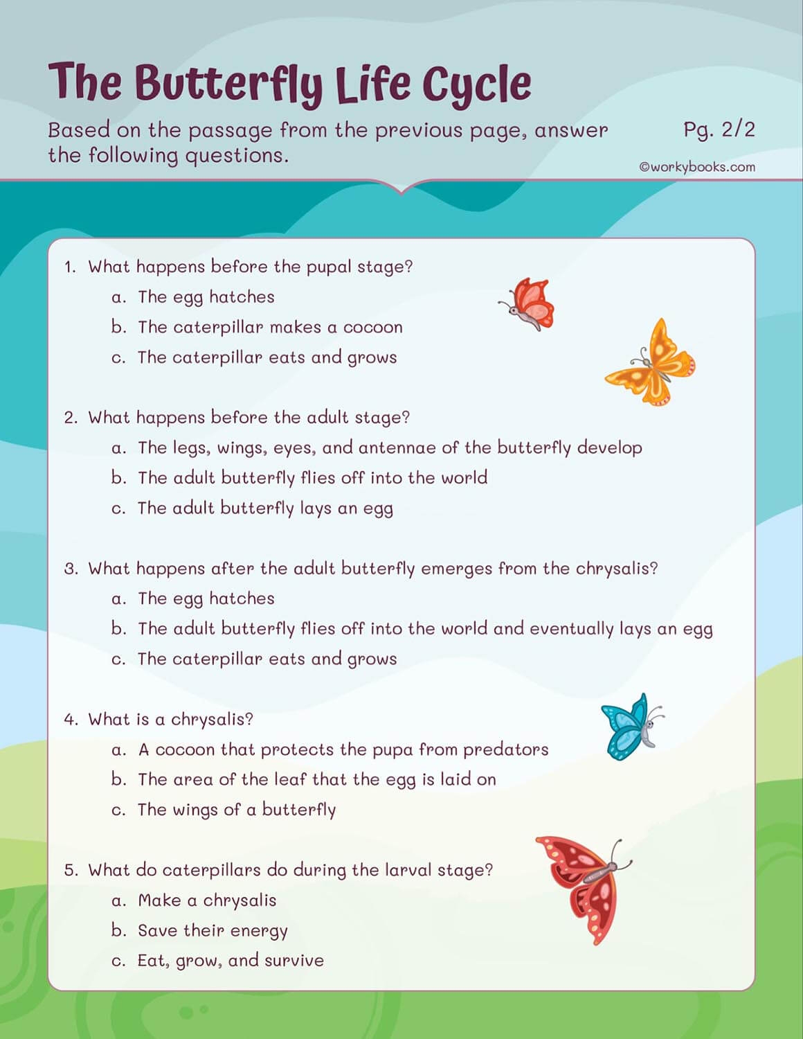 Life Cycles Worksheets Workybooks Life Cycles Worksheets Workybooks