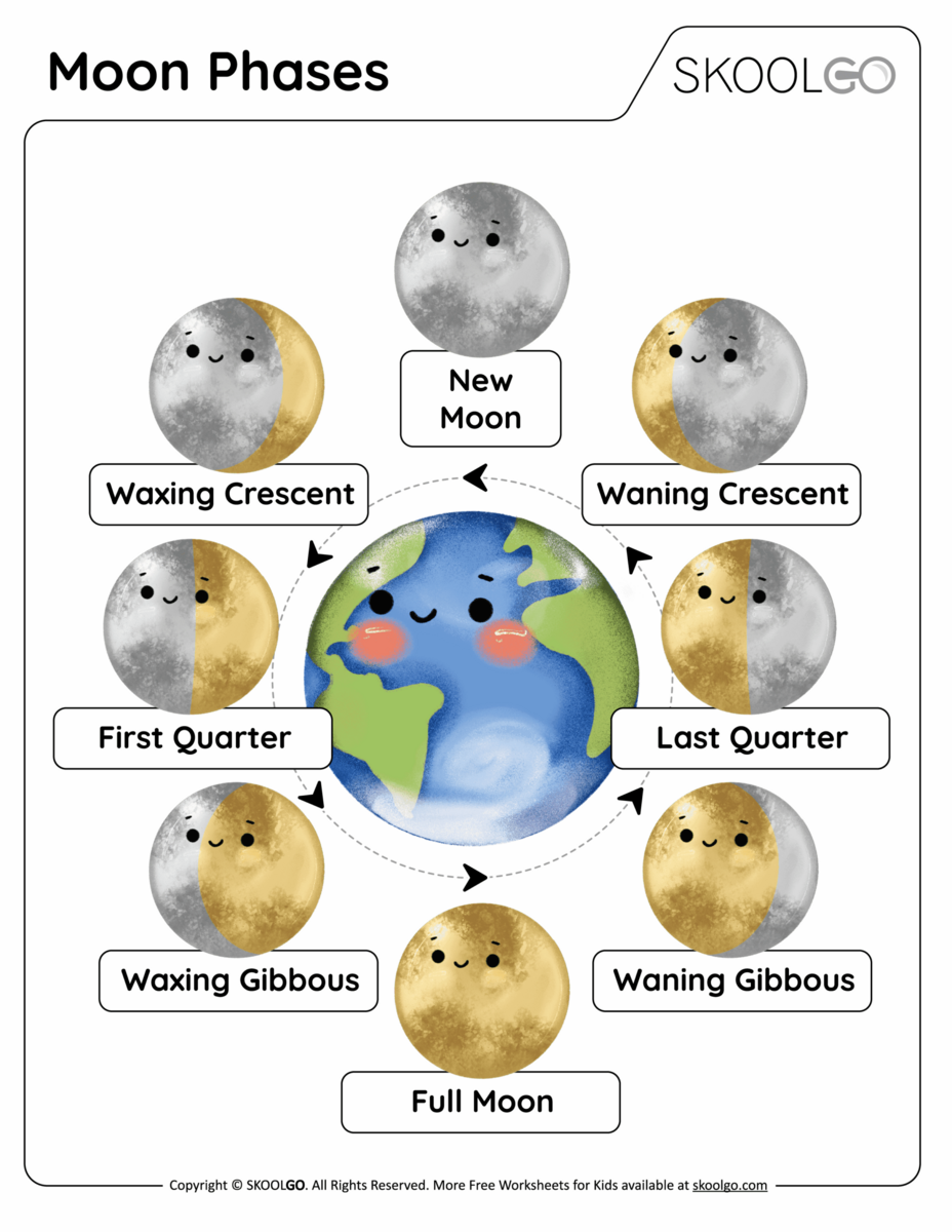 Moon Phases Free Worksheet SKOOLGO Printable 5th Grade Phases Of The Moon Worksheets Download
