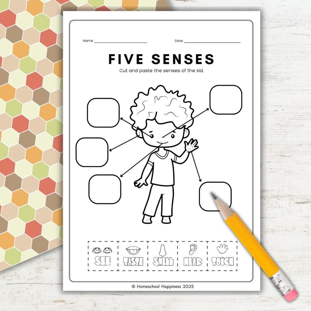 Our 5 Senses Activities For Kids Free Printable Pack Our 5 Senses Activities For Kids Free Printable Pack