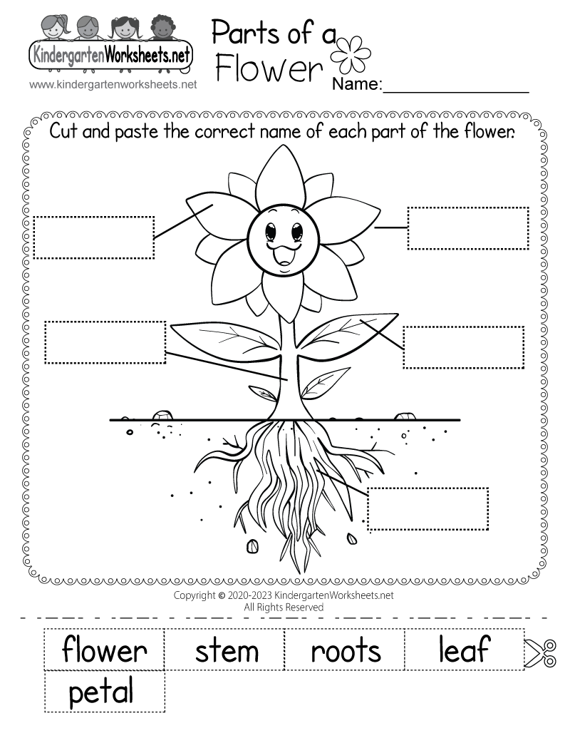 Landforms Earth Science Worksheet Free Printable Digital PDF