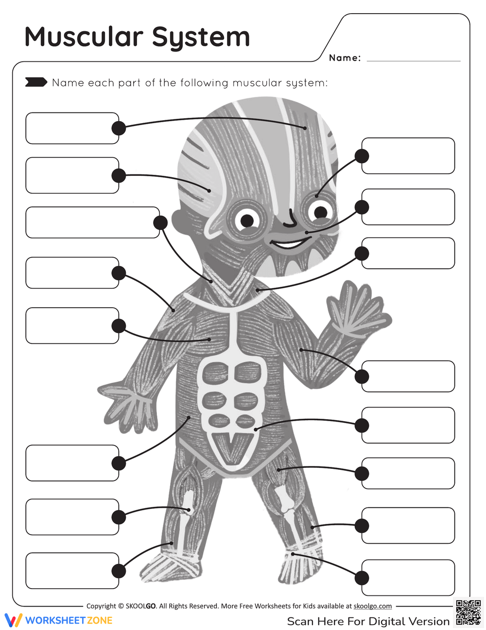 Printable 6th Grade Muscular System Worksheets