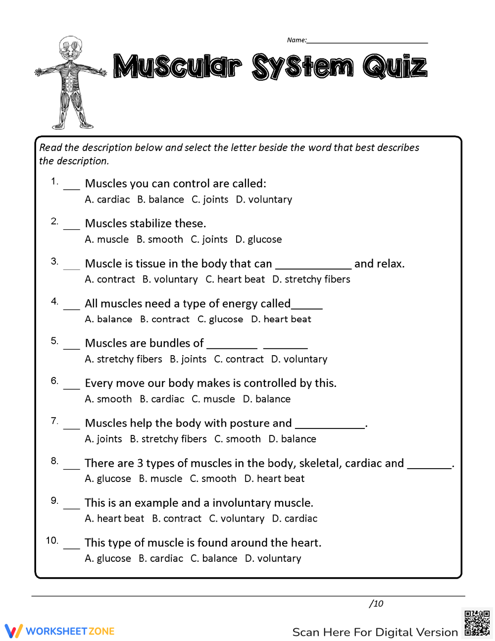Printable 6th Grade Muscular System Worksheets