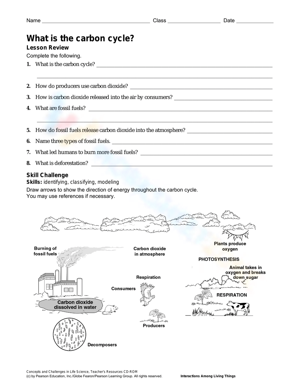 Printable 8th Grade The Carbon Cycle Worksheets Download Printable 8th Grade The Carbon Cycle Worksheets Download
