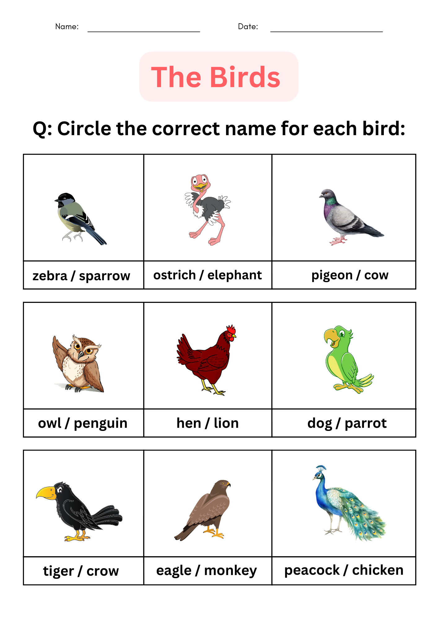 Printable Matching And Identify Birds Worksheet For Kindergarten Made By Teachers