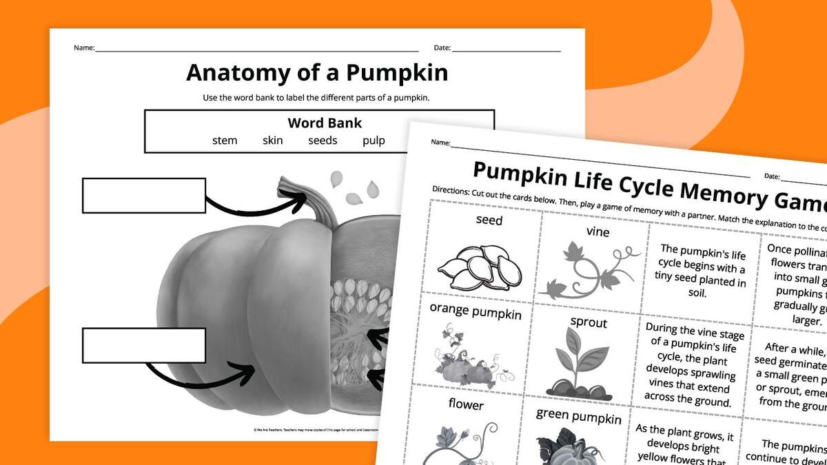 Pumpkin Life Cycle Worksheets For Kids Free Printables Pumpkin Life Cycle Worksheets For Kids Free Printables