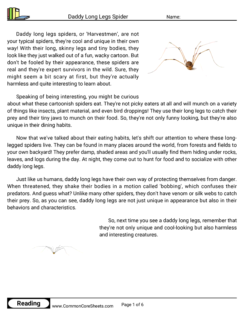 Reading Comprehension Spiders Worksheets