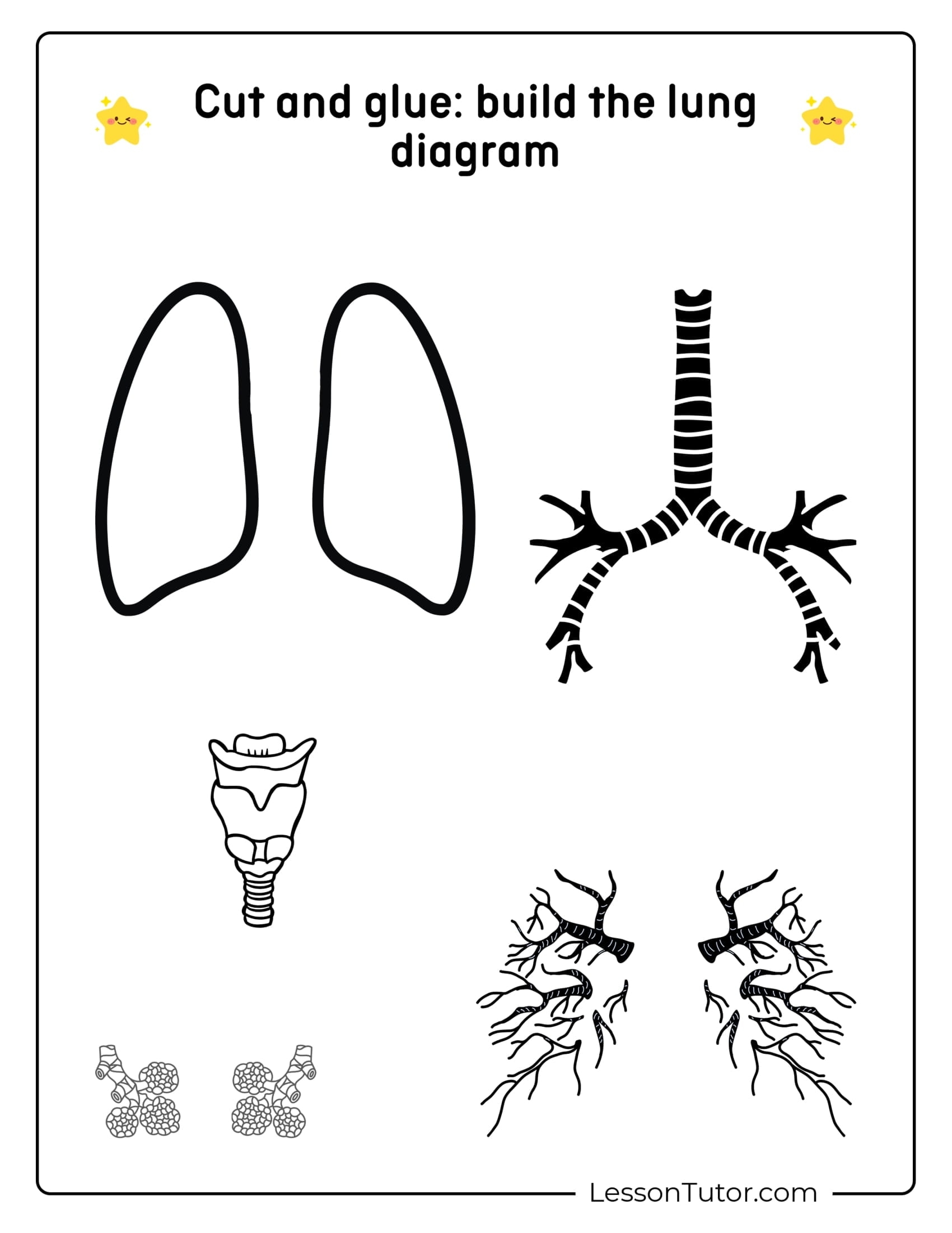 Respiratory System Worksheets Free Coloring Pages PDF Printables And Worksheets Lesson Tutor Respiratory System Worksheets Free Coloring Pages PDF Printables And Worksheets Lesson Tutor