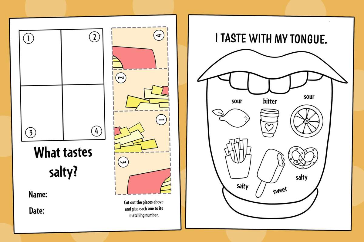 Sense Of Taste Worksheets For Preschool The Hollydog Blog Sense Of Taste Worksheets For Preschool The Hollydog Blog