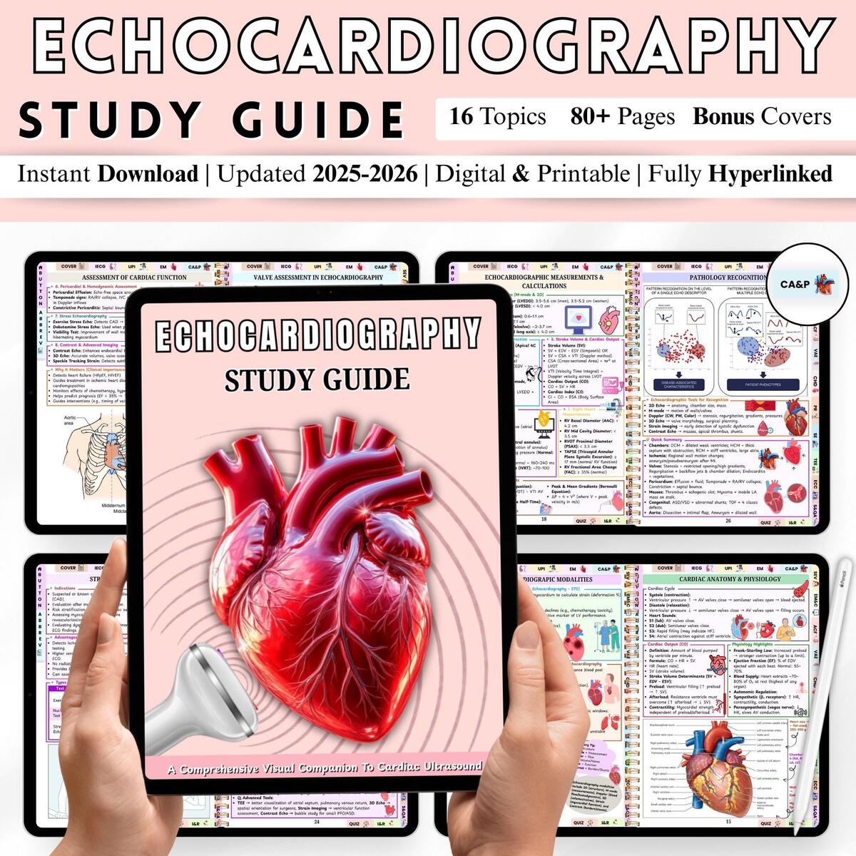 Ultrasound Vascular Study Guide Etsy Ultrasound Vascular Study Guide Etsy
