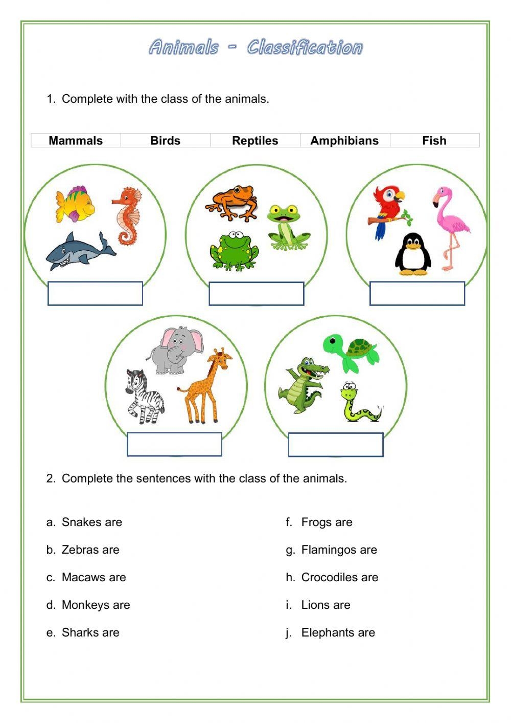 Wild Animals Classification Worksheet Worksheets Library Wild Animals Classification Worksheet Worksheets Library