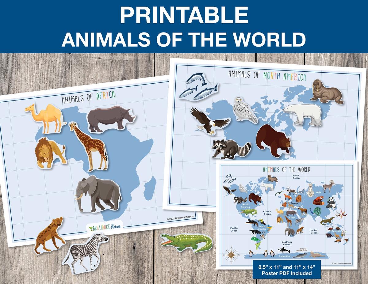 World Animals Animals Of The World World Animals Map Printable Preschool Science Montessori Homeschool Activity INSTANT DOWNLOAD S009 Etsy